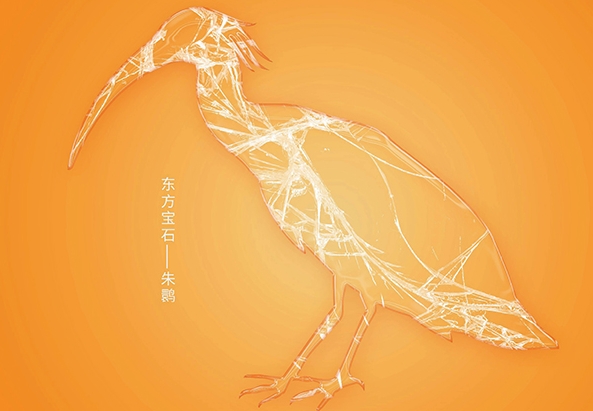 微信截圖_20240903095734.png